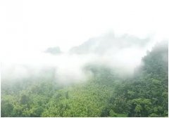 ���M(j��n)��ɽ�����I(y��)�y(c��)���T��15��̤��y(c��)�^(q��)�������y�P(gu��n)