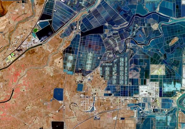 ʲô���b�м��g���ڜy�L��������Щ������